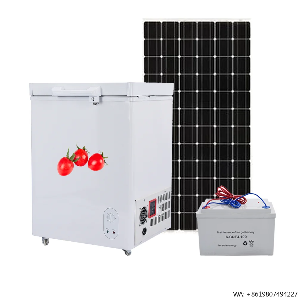 Factory Price Hot Sales Small Capacity Freezer with Solar System 88L off Grid Freezer Popular Model