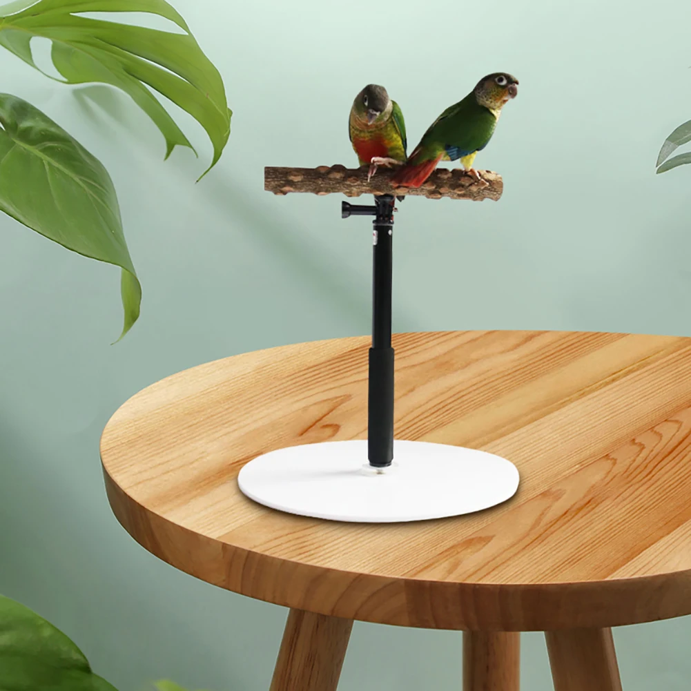 

Акриловая подставка для телефона, регулируемая высота, аксессуары для телефона, подставка для попугаев, окуня, стойка для попугаев