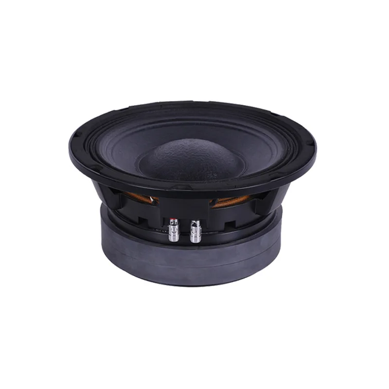 Stage Audio Full-Frequency High-Power Dual-Magnetic 10-Inch 100-Core Bass Speaker External Magnetic High-Power Speaker Speaker