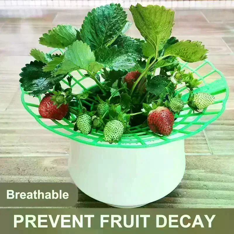 Plant Support Stand With Legs, Plastic Round Growing Rack To Keep Berries Clean & Prevent Rot Strawberry