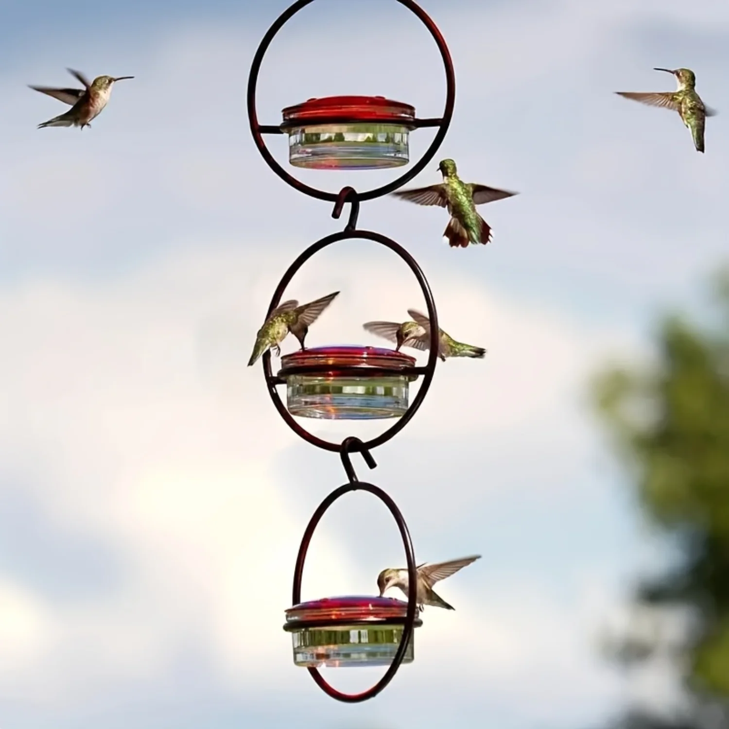 

Hanging Hummingbird Feeder, Metal Bottle Humming Bird Feeder With Circular Metal Frame And Perch