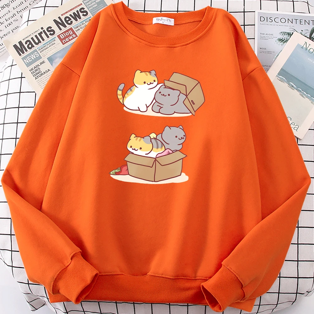 

Two Cute Cats Playing Hide And Seek In Cartons Man Long Sleeves Oversize Fleece Sweatshirts Autumn Fashion Casual Mens Hoodies