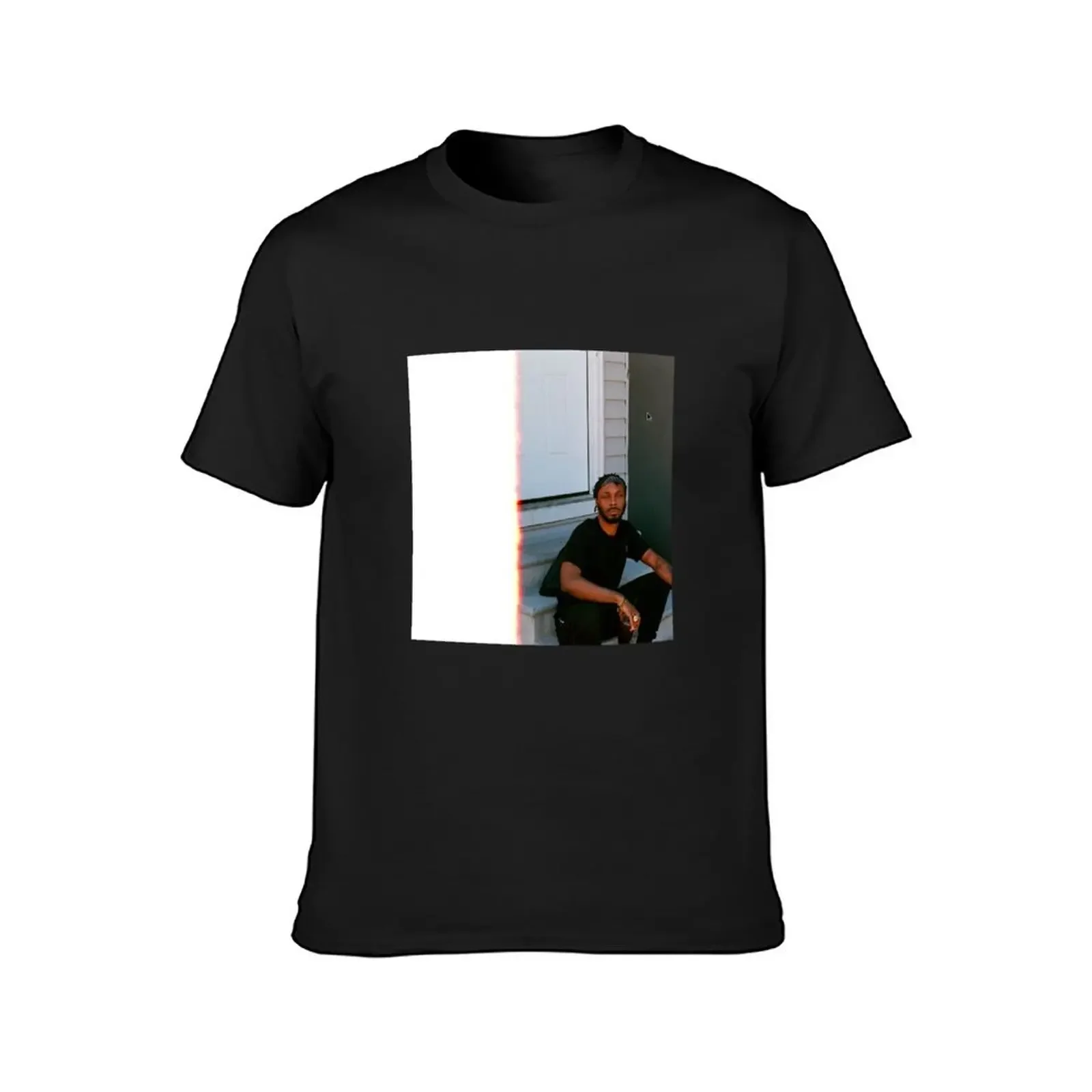 Jpegmafia Veteran Album cover T-Shirt man t shirt quick drying anime tshirt tops mens shirts graphic tee