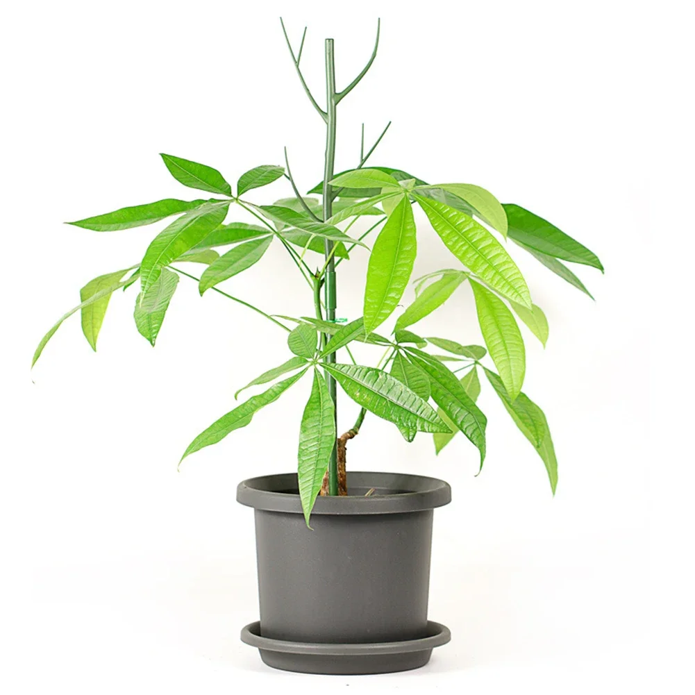 

5 шт. штабелируемые колья для садовых растений с 25 кабельными стяжками, зеленая пластиковая опора для комнатных и наружных растений, 70 см