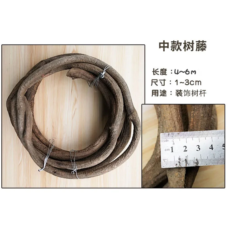 500~700CM Real Plants Tree Vines Alive Flexible Rattan Real Touch Branches Liana Wall Hanging Rattan Wedding Decoration Flowers - Image 4