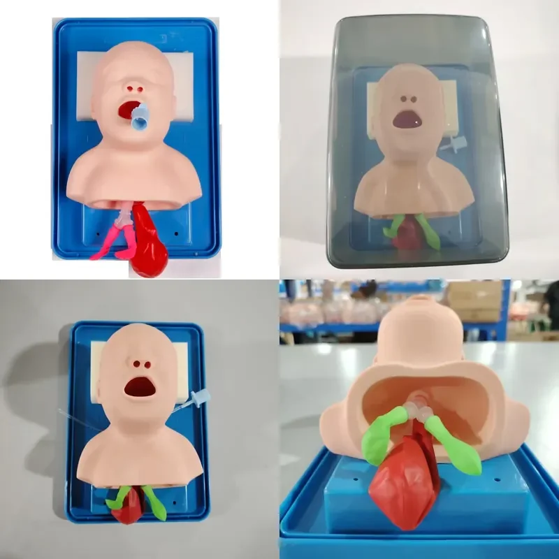 Advanced PVC Neonatal Tracheal Intubation Model for Medical Training for Schools Hospitals and Medical Science