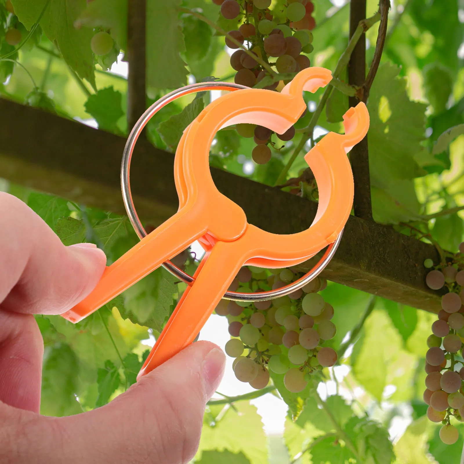 Vine Climbing Plastic - 12Pcs Plastic Garden Plant Clips Plant