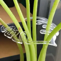 Turtle Shell Bamboo Clamp Reusable Clear Plastic Plant Stem Support Holder for Indoor and Outdoor Plants for Flower Lovers