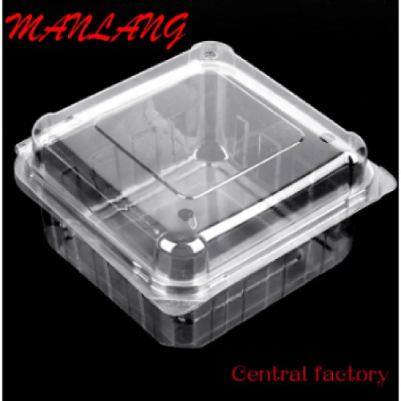 Custom  Disposable plastic food container biscuit cookie dessert packaging