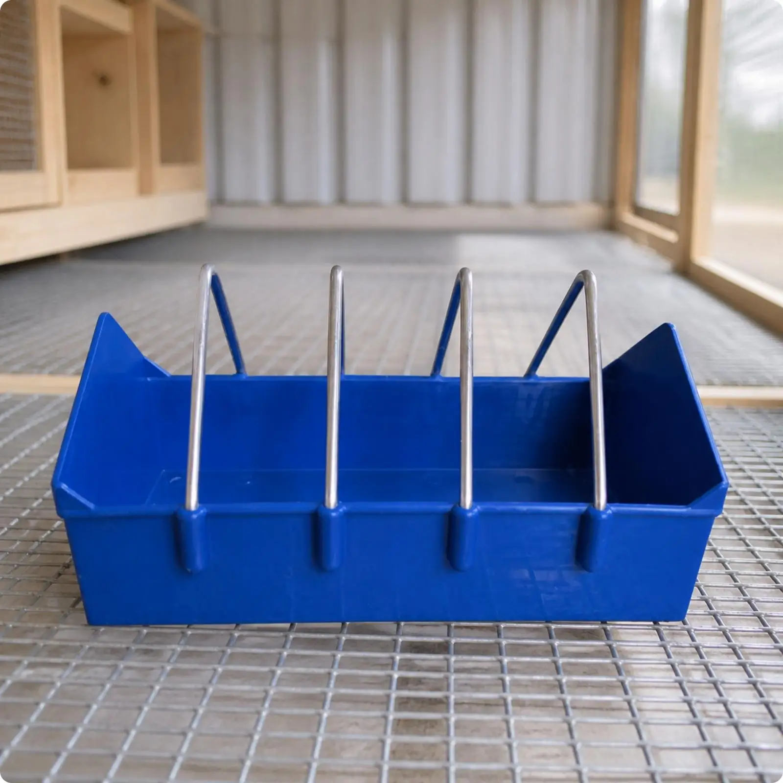 Royal Blue Plastic Poultry Feeder for Pigeons Automatic Feed Trough with Wire Dividers Compact for Small Bird Enclosures
