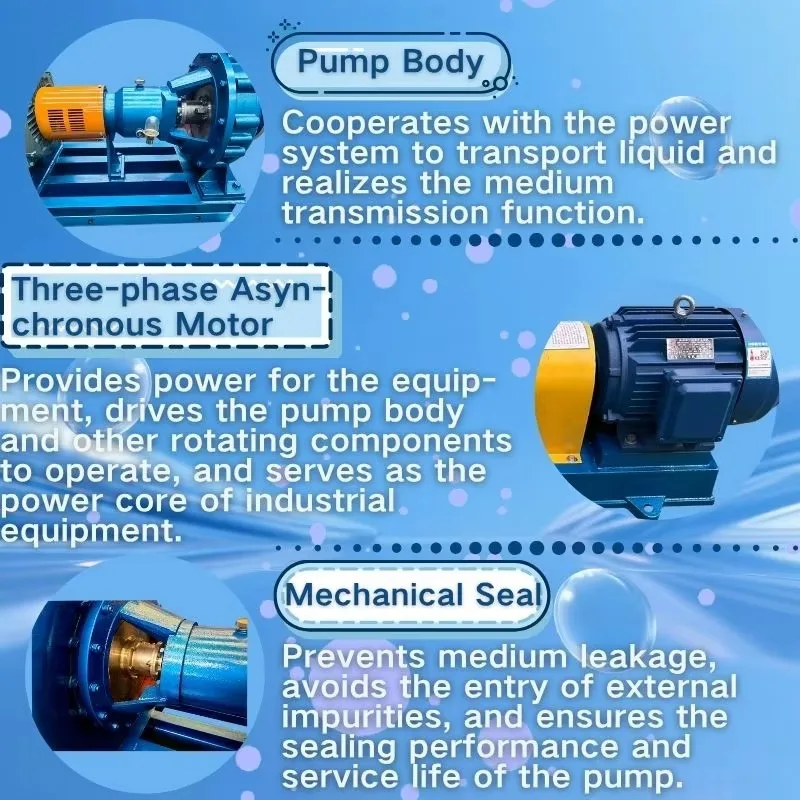 Reliable Sealing Performance Stainless Steel Centrifugal Pump for Disinfectant Water Transportation