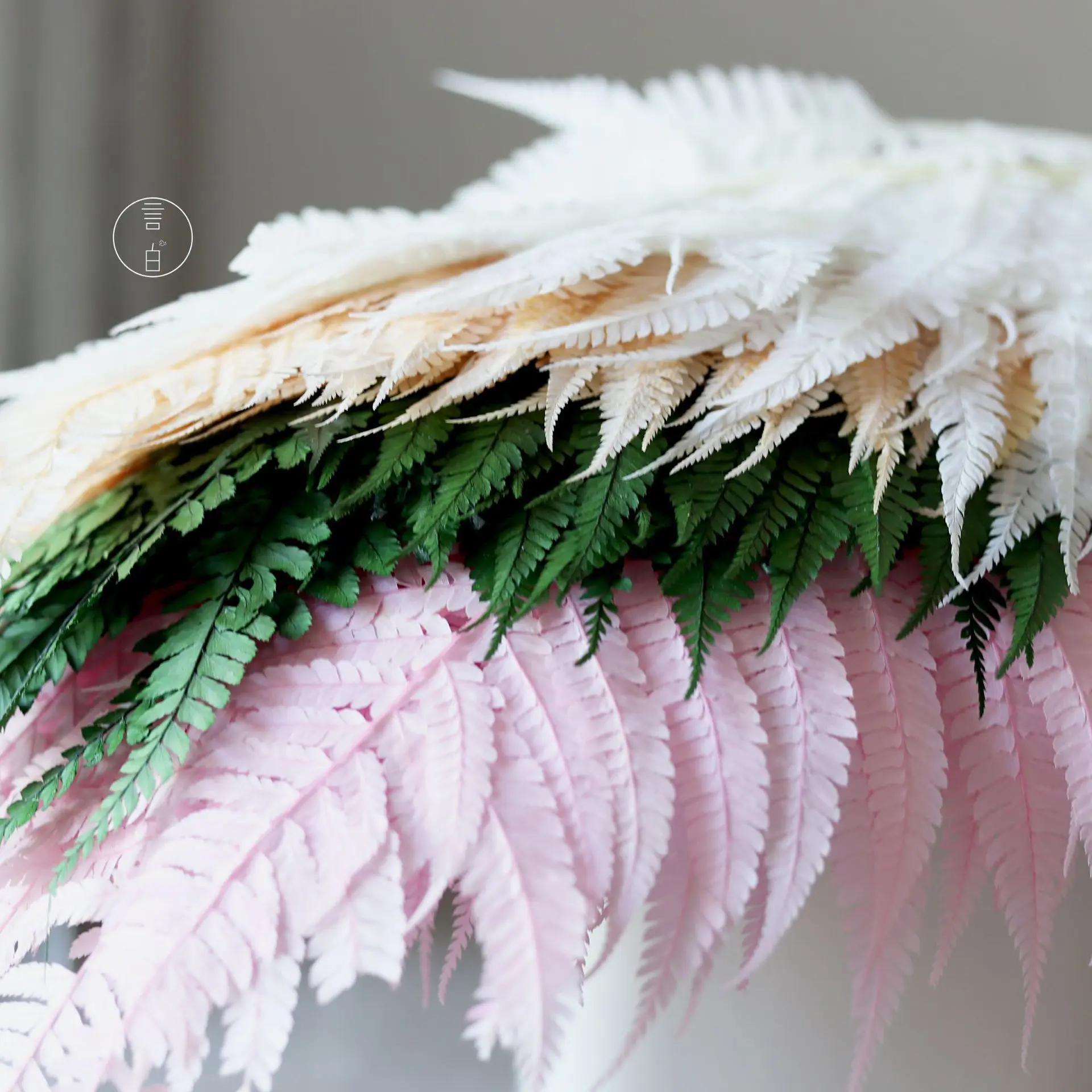 Eternal Fern,Large Fern Leaf Dried Flowers,For Home Wedding Party Themed Decorations  Home Table Decor DIY Flower Material