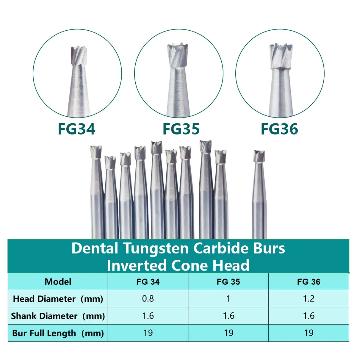 

10Pcs Dental Tungsten Carbide Burs Inverted Cone Burs Drill Dia.1.6mm FG34/FG35/FG36 for High Speed Handpiece Dentist Lab Tools