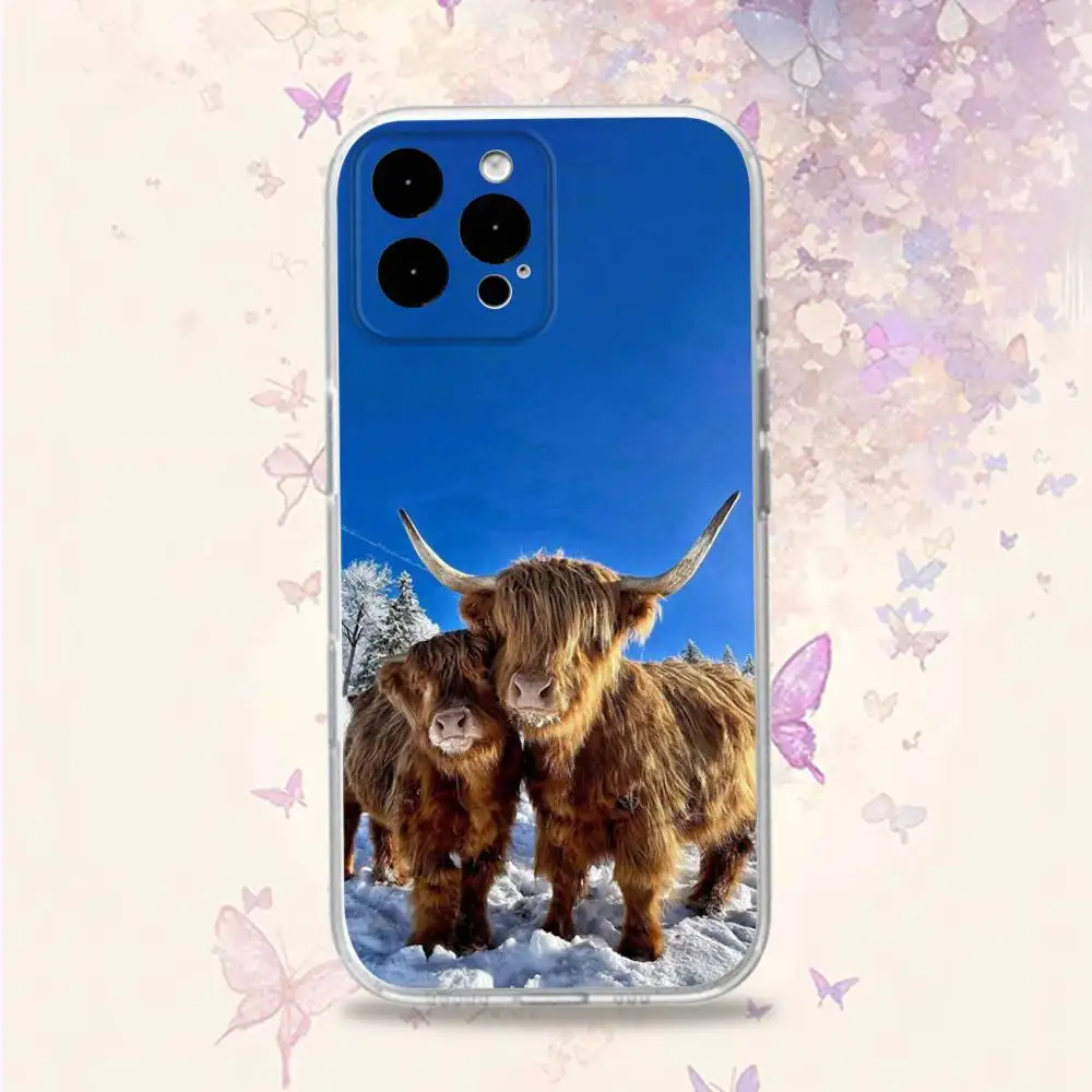 C-Cow FurryS H-HighlandS Handyhülle für iPhone 11,12,15,16,17,13,14,Pro,Max,Plus,E,Mini,Air,SE4 Weiche TPU-Rückseite mit transparenter Rückseite
