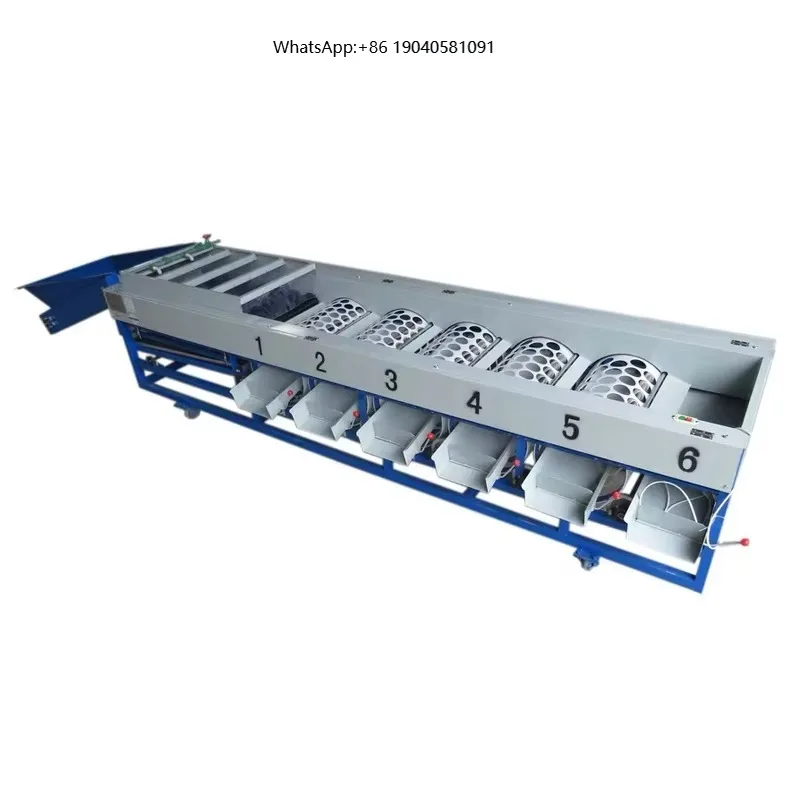 High Quality Durable Orange Rice Sorting Machine Dates Sorting Machine Supplier