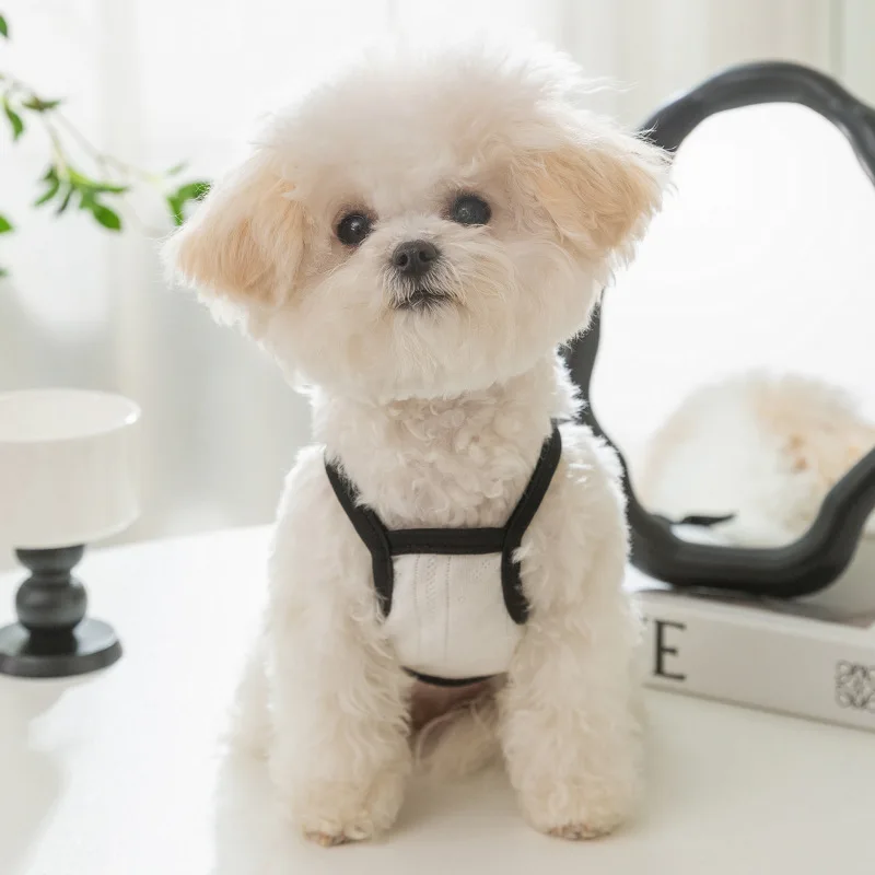 Dog Vest Simple and Breathable Thin and Two Legged Small Dog Teddy Puppy Kitten Pet Summer Clothing Puppy Clothes Dogs Vest