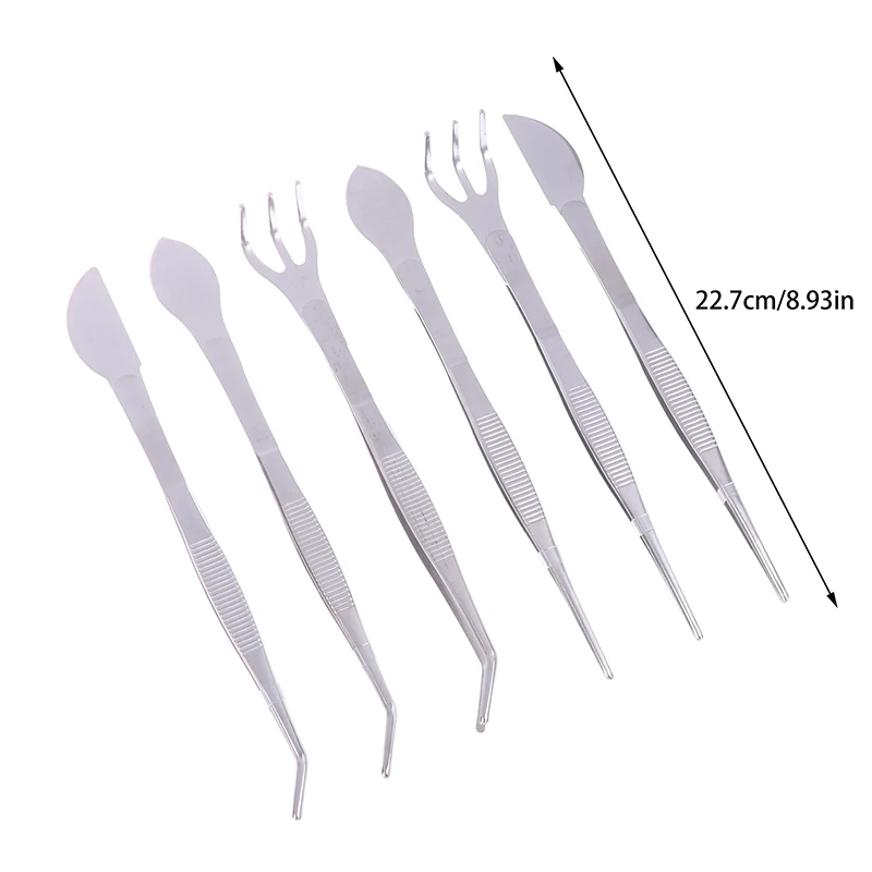Rastrello per radici In acciaio inossidabile 304 2 In 1 con pinzette per Bonsai con manico ergonomico strumento per l'agricoltura del suolo per piante grasse Bonsai
