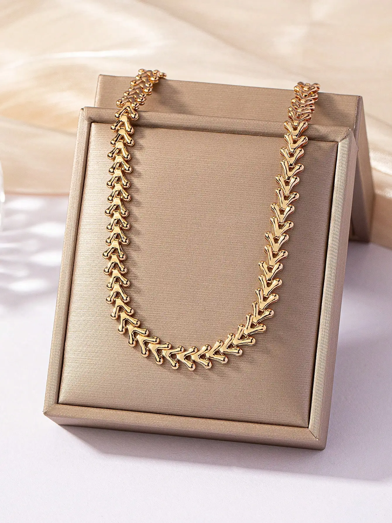 A Sexy, Trendy, Casual, High-End Clavicle Fishbone Chain Necklace for Women That Is Versatile and Unique
