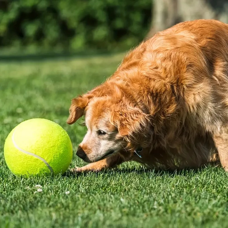 9.5Inch Giant Tennis Ball For Dog Chew Toy Pet Dog Interactive Toys Big Inflatable Tennis Ball Pet Supplies Outdoor Dog Toy