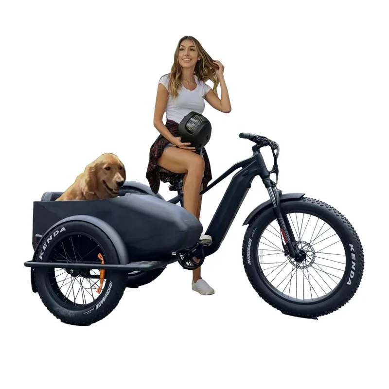 E bike Side Car Adult electric tricycle bicycle 3 wheel ebike electric cargo trike 750w hidden lithium battery etrike sidecar