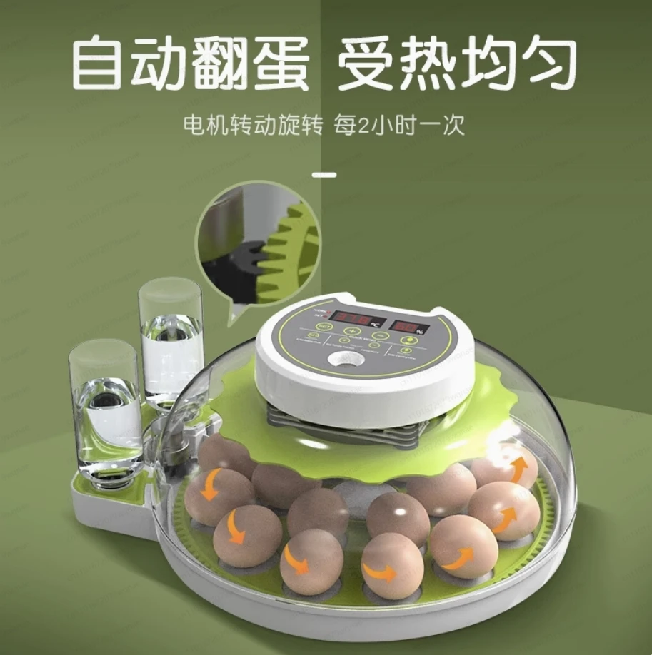 

Small Household Fully Automatic Intelligent Incubator | Flying Saucer Design for Parrot, Pigeon & Bird Eggs
