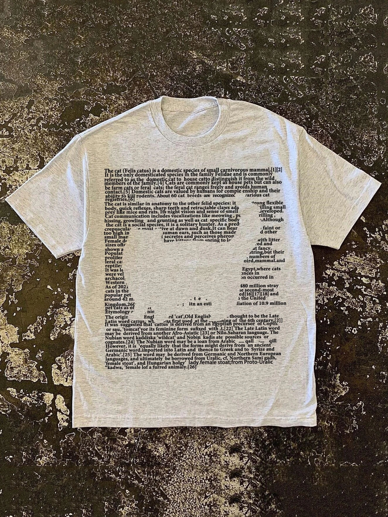 Cat Vintage Distressed Aesthetic Paragraph  Heavyweight Graphic Tee Cotton Mens Womens T-Shirt Summer Streetwear