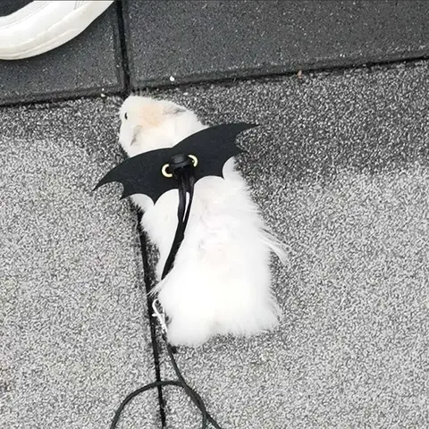 햄스터 견인 로프, 탈출 방지 및 물림 방지 로프, 골든 와이어 베어 꿀 가방, 날으는 다람쥐, 작은 애완 동물, 귀여운 아이템