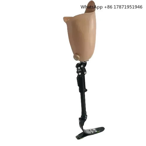 Pneumatic knee type Prosthetic Implant Leg Artificial Limbs Leg For Amputee Leg Prosthesis