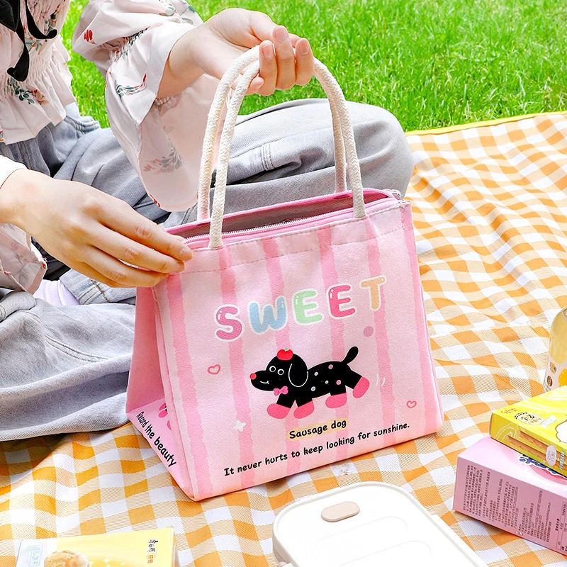 Lunch Bag For Picnic Portable Large Capacity Lunch Bag Collapsible Thermal Breakfast Organizer Portable Insulated Storage Bag