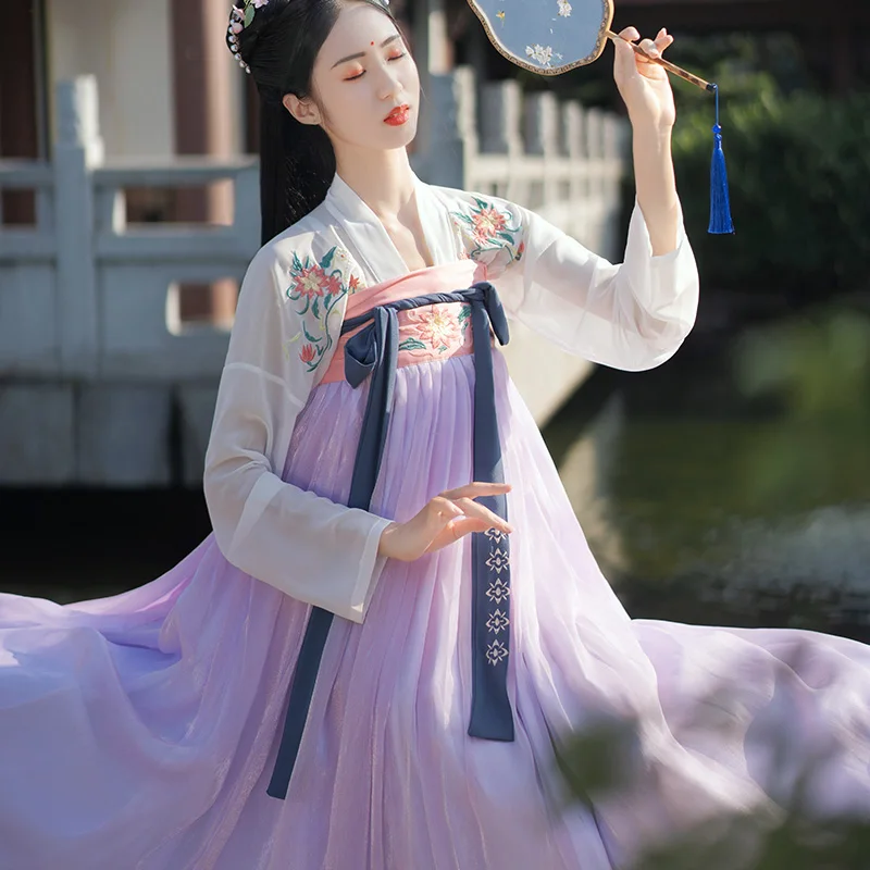 Hanfu abbigliamento femminile abito Kimono stile cinese antico Tang ricamo tradizionale Cosplay fata abiti Costume abiti abito