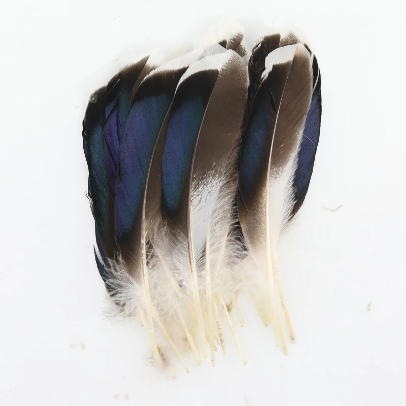 Natural Pheasant Feather Peacock Feather Eagle Small Plume for Crafts Handicraft Accessories Jewelry Creation Holiday Decoration