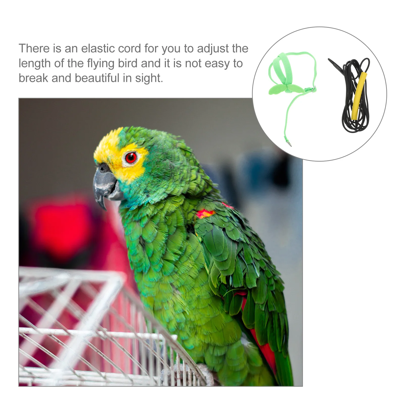 1 قطعة مقود تسخير الطيور تصميم قابل للتعديل آمن للببغاوات الأنشطة الخارجية الطيور تسخير المقود الببغاء حبل التدريب #5