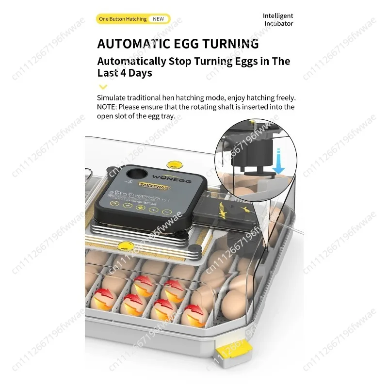 Wonegg Automatic-Newest Full-Automatic 48 Egg Incubator And Hatcher Machine With Setter And Hatcher Combined