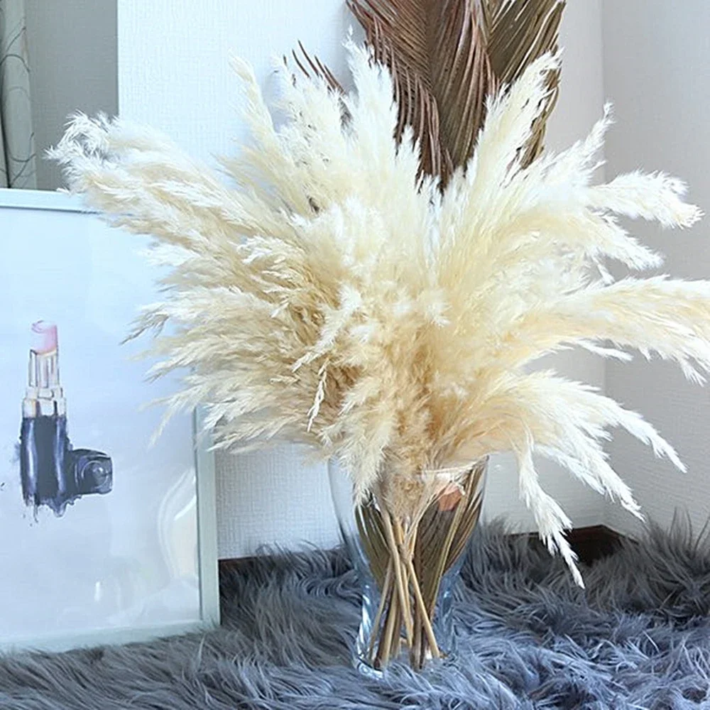 Thumbnail 3 - #38 Trending Dried Flowers Right Now