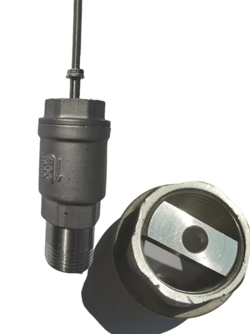 

Special one-way discharge valve for water hammer pumps
