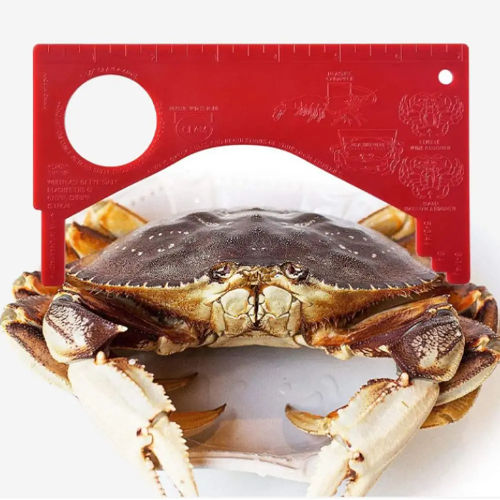Crab Measuring Tool Clam Measuring Tool 4 Pieces Set Bright Red Color Easy To Store PVC Material Travel-friendly Design