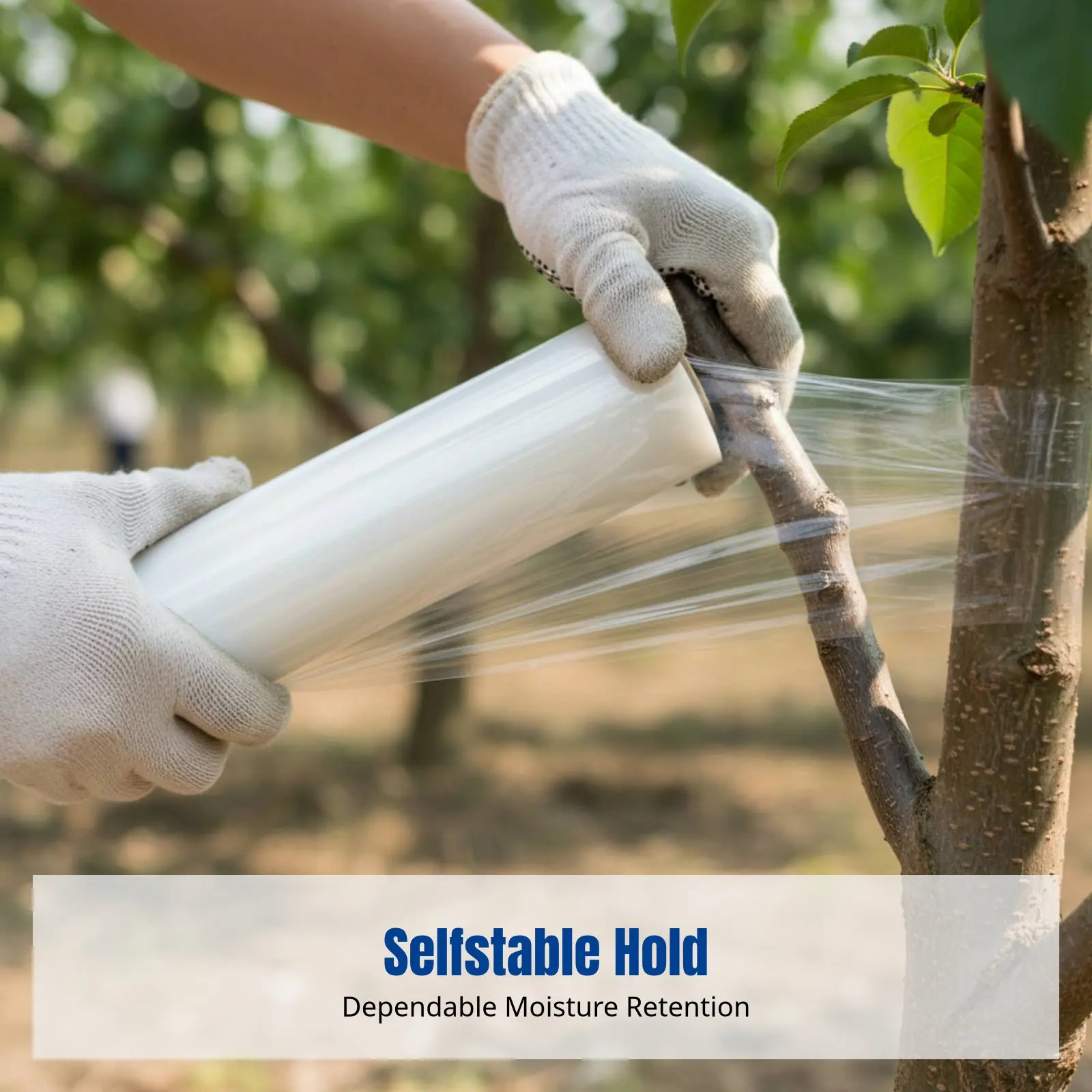 

Пленка для обмотки веток бонсай, влагозащитная, прозрачная, изоляционная, высокопрочная, для обмотки веток.