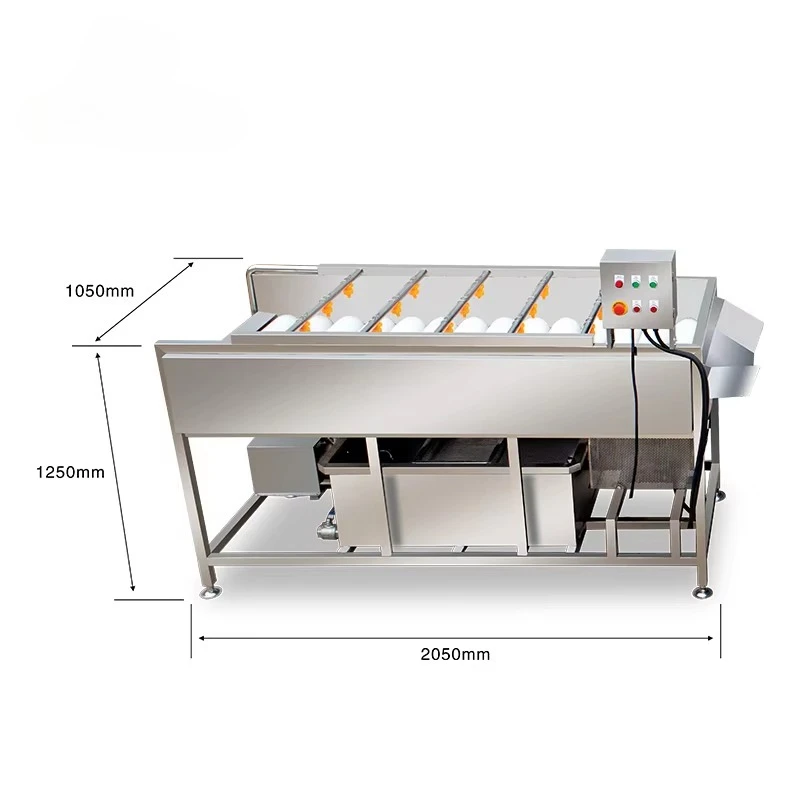 High Quality Vegetable and Fruit Washer Potato Tomato Carrot Ginger Fruit Washing Machine