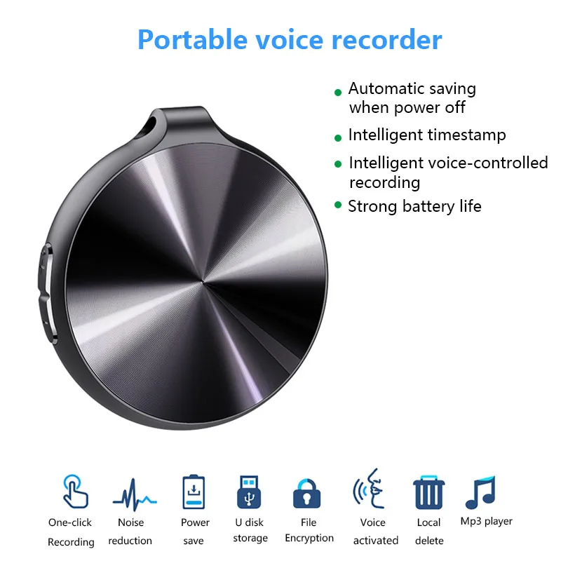 Portable Voice Reco…
