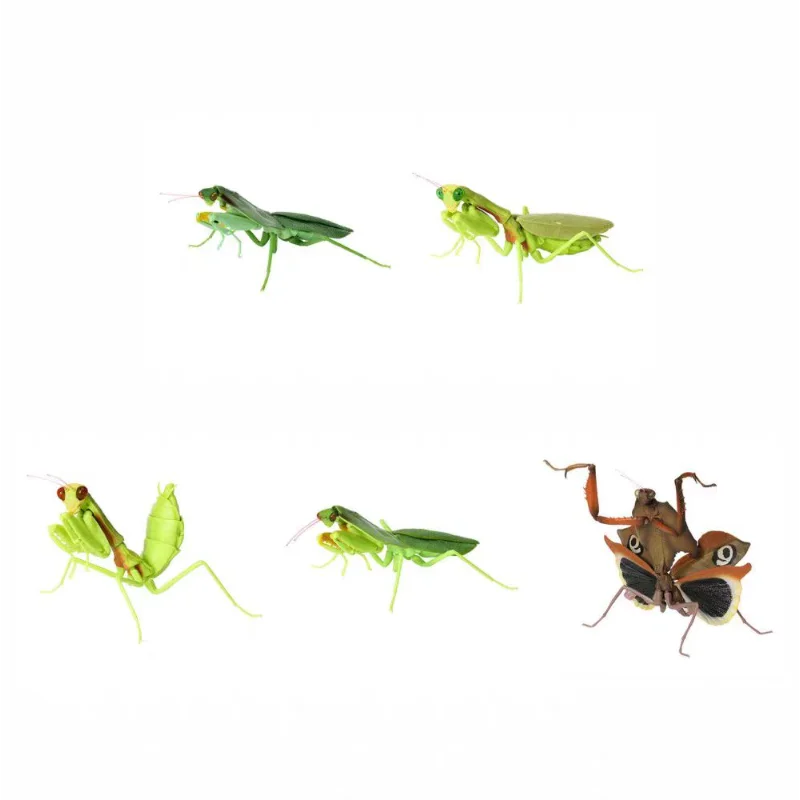 بانداي الأصلي غاشابون الموسوعة البيولوجية سلسلة 4 الميت ورقة السرعوف الحشرات الشكل-مجموعة أنيمي ، الصحراء التمويه علة