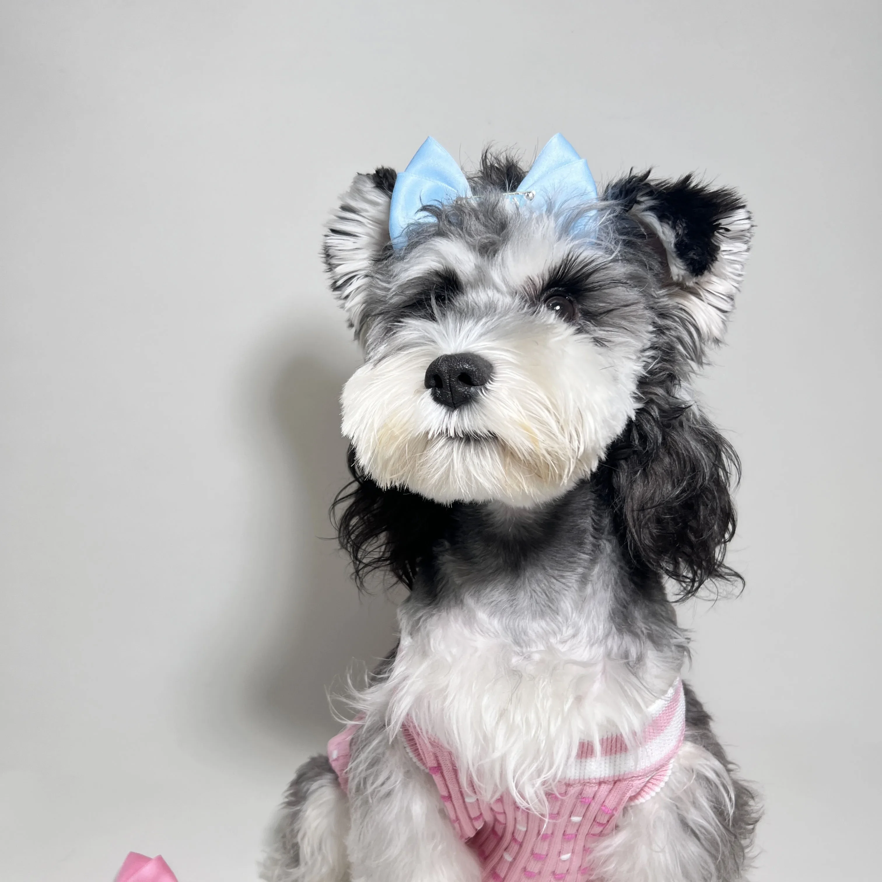 Fall Spring Cute Design Pink Classic Brand Pet Dog Cat Luxury Knit Dog LuxuryTank Top Vest Sweater