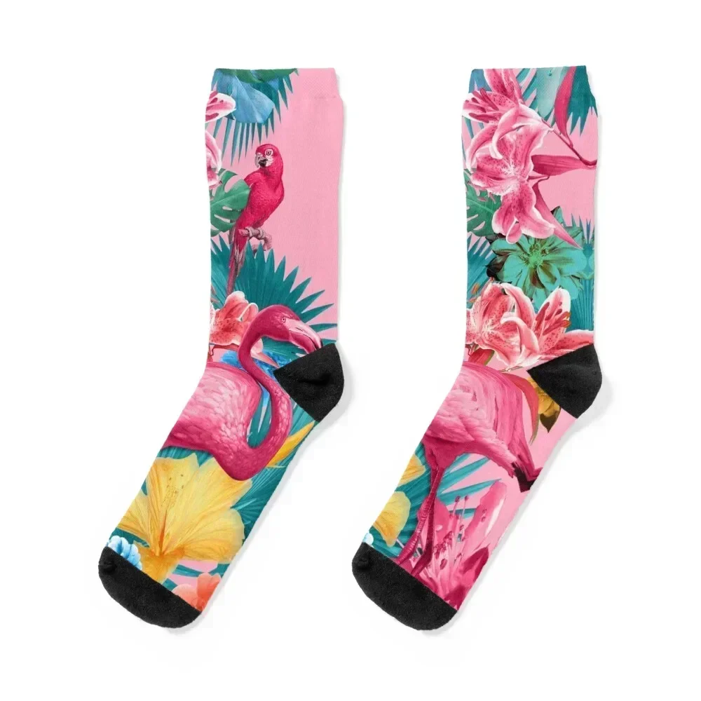 Flamingo and Tropical garden Socks japanese fashion Sports snow Luxury Woman Socks Men's