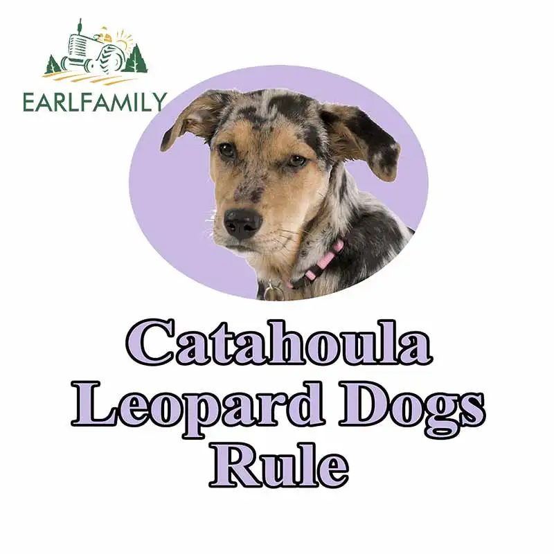 

EARLFAMILY 13cm X 12.5cm for Catahoula Leopard Dogs Rule Decal Trunk Windshield Car Stickers Waterproof Bumper Car Assessoires
