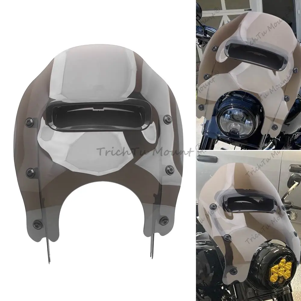 Windshield/Windscre…