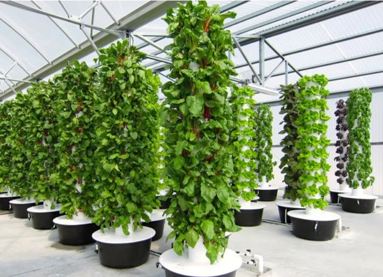 برج زراعة عمودي للاستخدام المن - مراجعة Hydroponic Tower وسعره