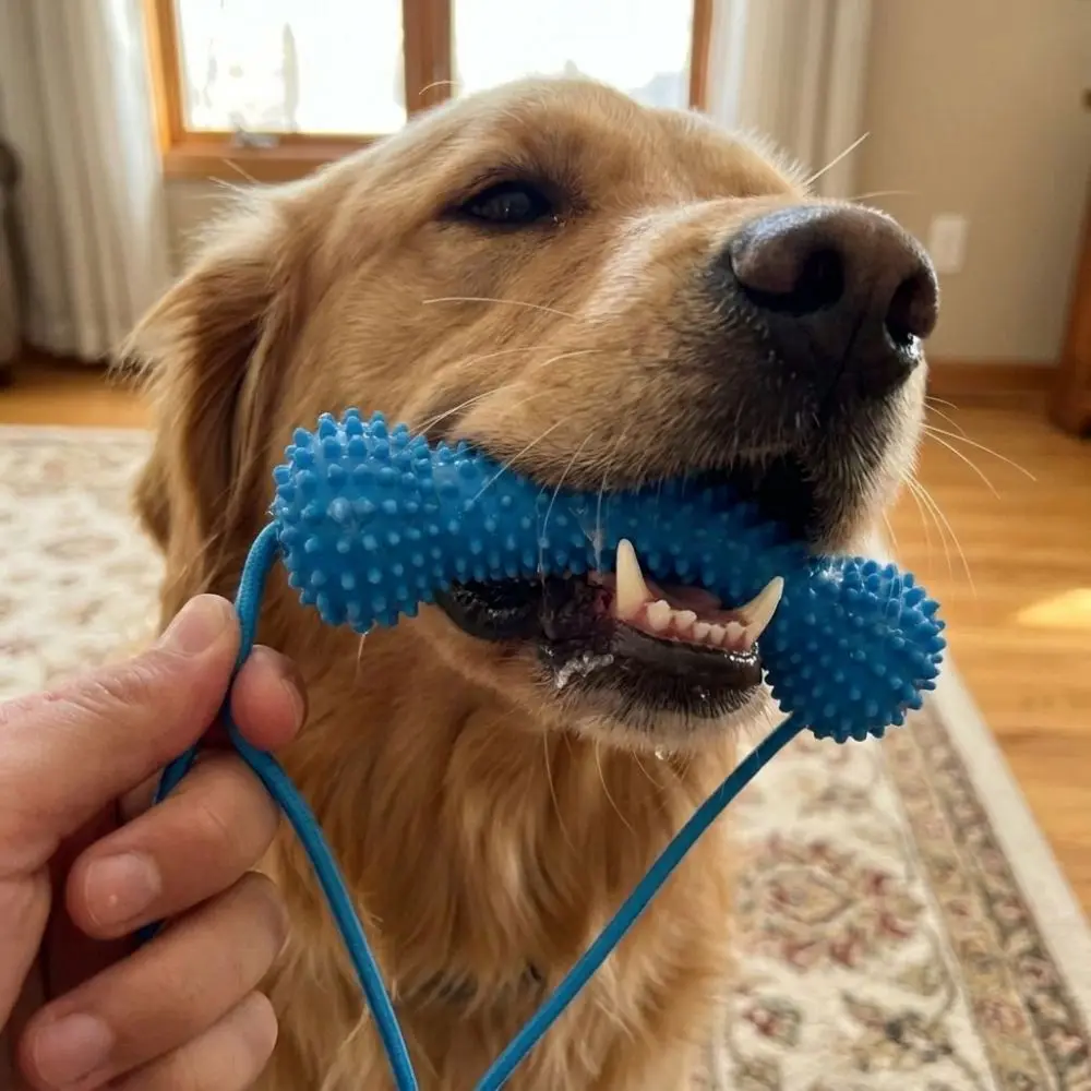 Bite-Resistant Dog Teething Stick Anti-choking Chew-resistant Pet Teeth Cleaning with Rope Dog Chew Stick Interactive Tug