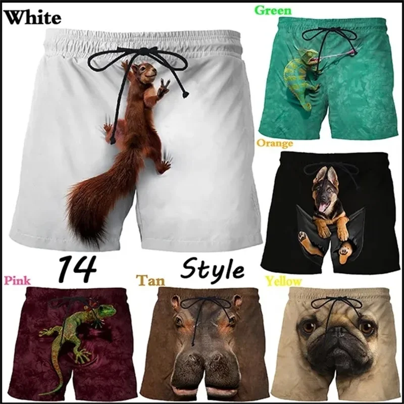 Calções de praia padrão animal masculino, impresso em 3D, casual, streetwear, fofo, engraçado, verão