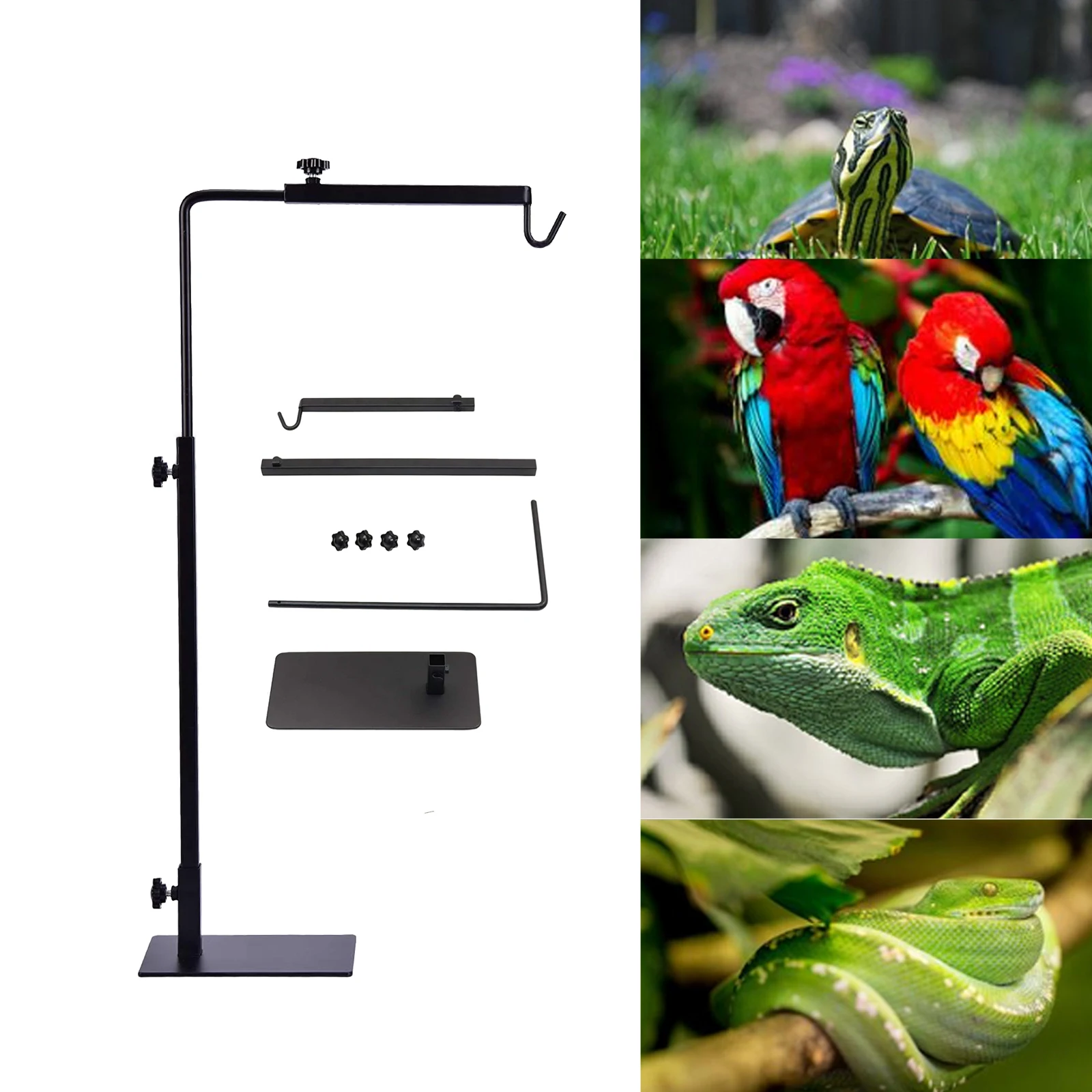 #3 Compare Reptile Heat Lamps Before You Buy
