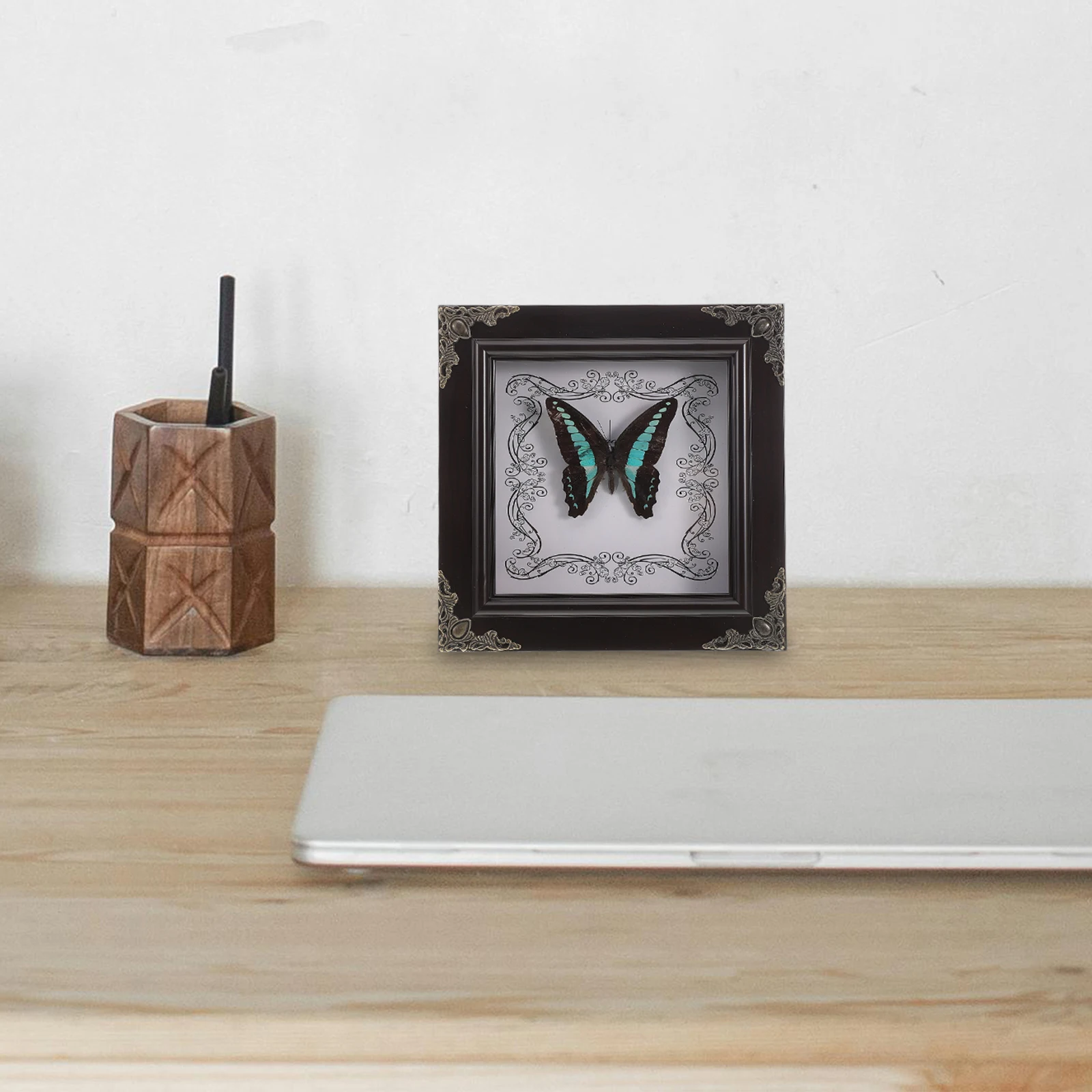 

Butterfly Specimen Decorative Painting Real Butterfly Framed Vintage Display Shadow Boxes Picture Frame Home Decor
