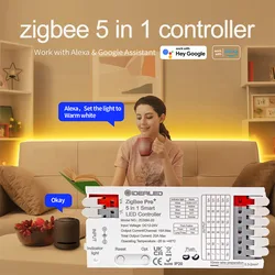 Smart Zigbee LED Light Strip, Controlador Dimmer, 5 em 1, RGBCCT, RGBW, RGB, CCT, DC 12-54V, 6-Zone Remote, Trabalhar com Tuya e Echo Plus